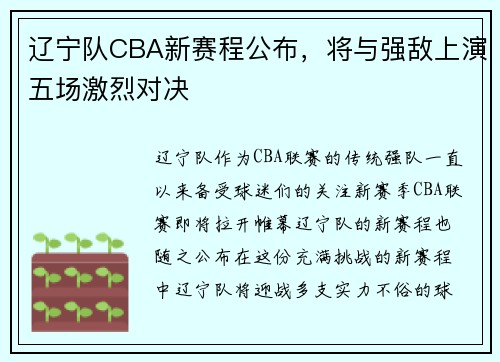 辽宁队CBA新赛程公布，将与强敌上演五场激烈对决